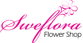 E-commerce Website client logo